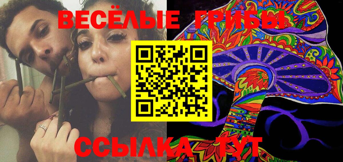 Галлюциногенные грибы Psilocybine cubensis Астрахань