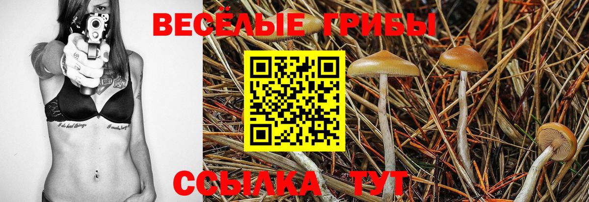 Галлюциногенные грибы Psilocybine cubensis  наркошоп  Астрахань  Вход с VPN 